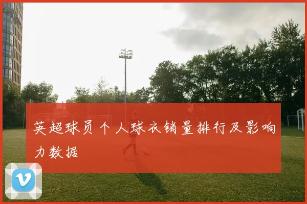 英超球员个人球衣销量排行及影响力数据