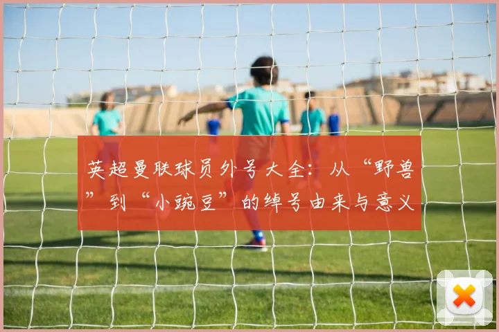英超曼联球员外号大全：从“野兽”到“小豌豆”的绰号由来与意义解析