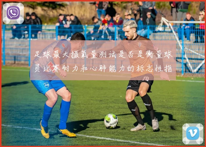 足球最大摄氧量测试是否是衡量球员比赛耐力和心肺能力的标志性指标
