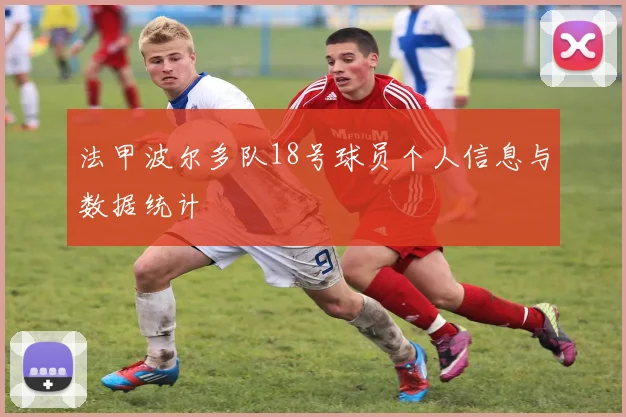 法甲波尔多队18号球员个人信息与数据统计