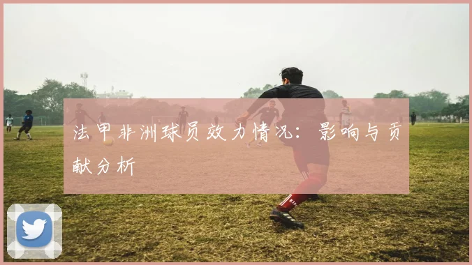 法甲非洲球员效力情况：影响与贡献分析
