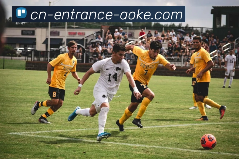 App Interface Preview